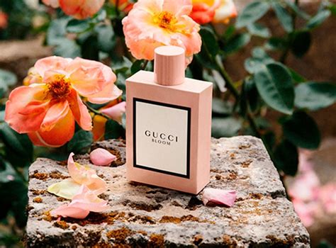 perfume gucci bloom mujer precio|Gucci Bloom perfume cheap.